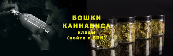 spice Аркадак